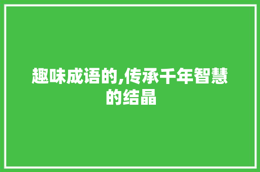 趣味成语的,传承千年智慧的结晶