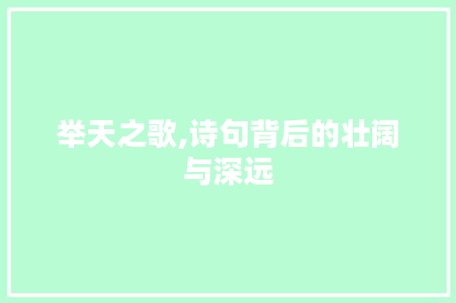举天之歌,诗句背后的壮阔与深远
