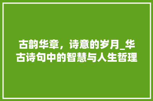 古韵华章，诗意的岁月_华古诗句中的智慧与人生哲理