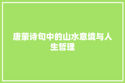 唐蒙诗句中的山水意境与人生哲理 工作总结