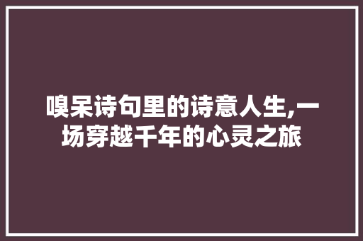 嗅呆诗句里的诗意人生,一场穿越千年的心灵之旅 采访稿