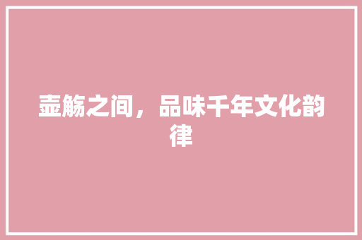 壶觞之间，品味千年文化韵律