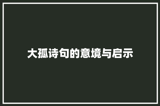 大孤诗句的意境与启示