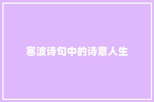 寒波诗句中的诗意人生
