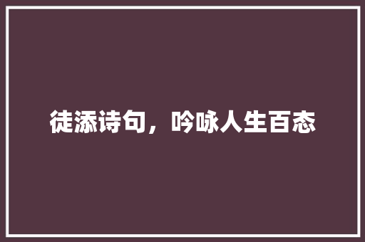 徒添诗句，吟咏人生百态