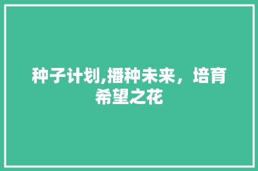 种子计划,播种未来，培育希望之花