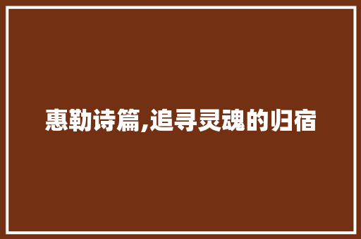 惠勒诗篇,追寻灵魂的归宿