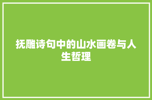 抚雕诗句中的山水画卷与人生哲理