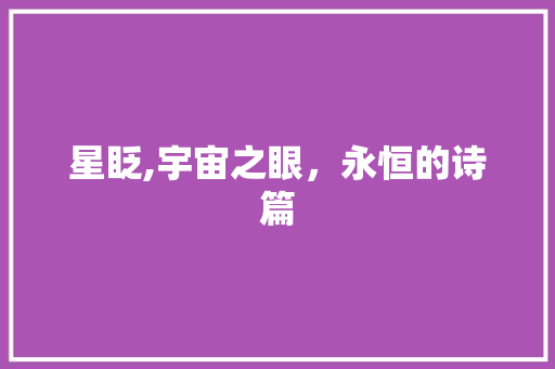星眨,宇宙之眼，永恒的诗篇