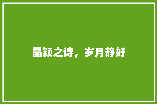 晶颖之诗，岁月静好 生活类