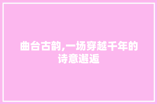曲台古韵,一场穿越千年的诗意邂逅