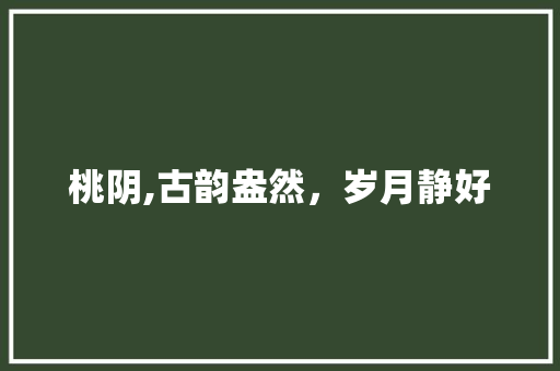 桃阴,古韵盎然，岁月静好