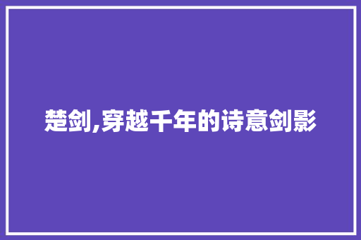 楚剑,穿越千年的诗意剑影 生活随笔