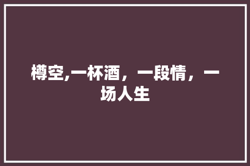 樽空,一杯酒，一段情，一场人生