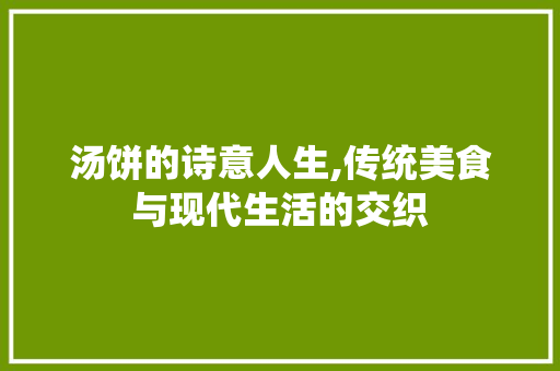 汤饼的诗意人生,传统美食与现代生活的交织