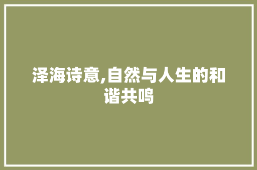泽海诗意,自然与人生的和谐共鸣