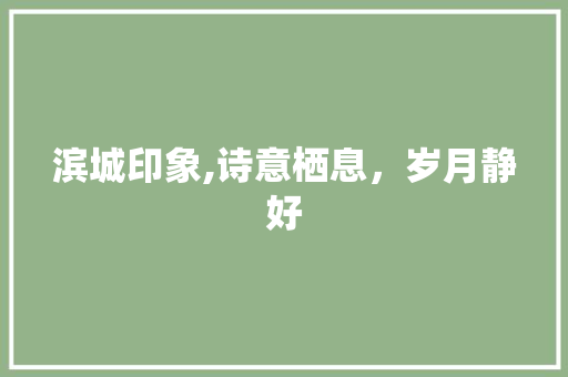 滨城印象,诗意栖息，岁月静好
