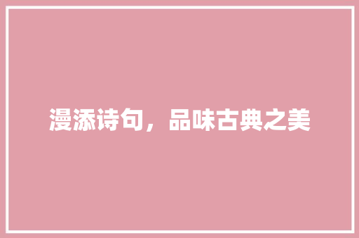 漫添诗句，品味古典之美