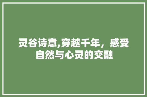 灵谷诗意,穿越千年，感受自然与心灵的交融