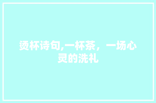 烫杯诗句,一杯茶，一场心灵的洗礼 采访稿