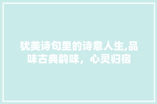 犹美诗句里的诗意人生,品味古典韵味，心灵归宿
