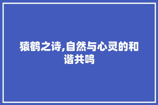 猿鹤之诗,自然与心灵的和谐共鸣