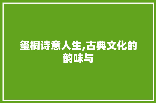 玺桐诗意人生,古典文化的韵味与 生活感悟