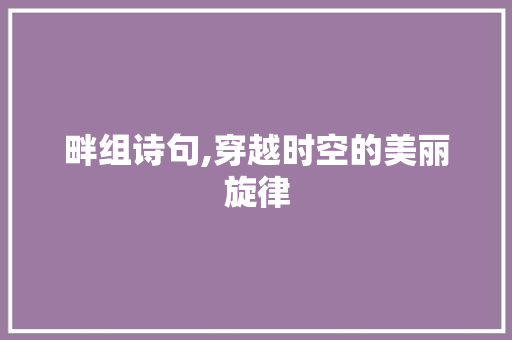 畔组诗句,穿越时空的美丽旋律 工作总结