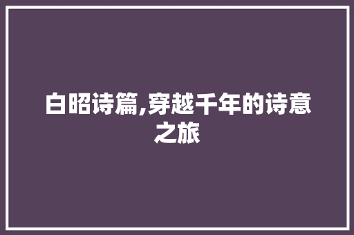 白昭诗篇,穿越千年的诗意之旅