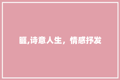 睚,诗意人生，情感抒发