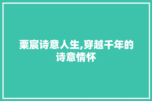 粟宸诗意人生,穿越千年的诗意情怀