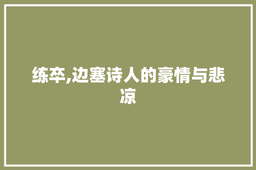 练卒,边塞诗人的豪情与悲凉