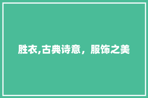 胜衣,古典诗意，服饰之美 工作总结