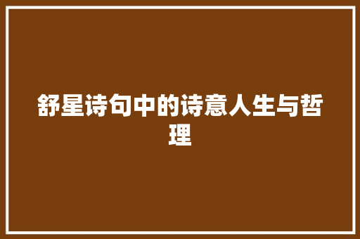 舒星诗句中的诗意人生与哲理 工作报告