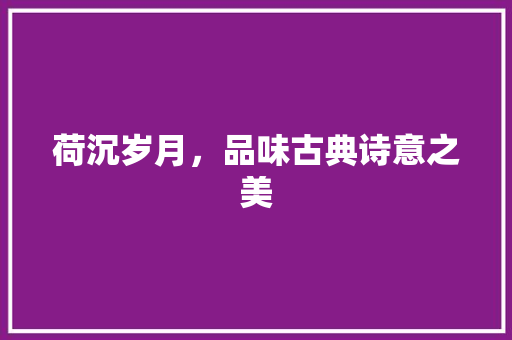 荷沉岁月，品味古典诗意之美