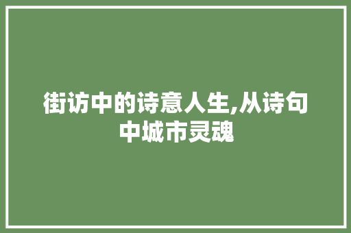 街访中的诗意人生,从诗句中城市灵魂