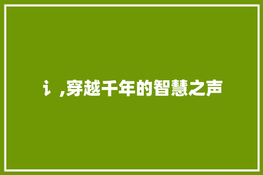 讠,穿越千年的智慧之声 生活感悟