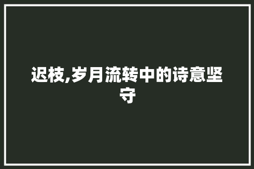 迟枝,岁月流转中的诗意坚守 生活随笔