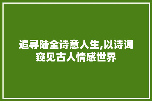 追寻陆全诗意人生,以诗词窥见古人情感世界 工作总结