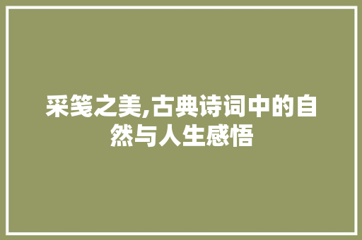 采笺之美,古典诗词中的自然与人生感悟
