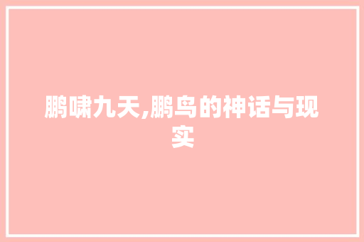 鹏啸九天,鹏鸟的神话与现实