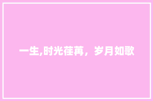 一生,时光荏苒，岁月如歌