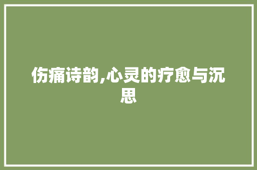 伤痛诗韵,心灵的疗愈与沉思