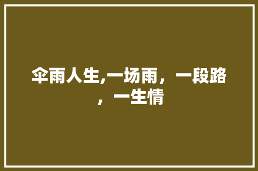 伞雨人生,一场雨，一段路，一生情