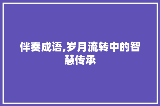 伴奏成语,岁月流转中的智慧传承