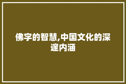 佛字的智慧,中国文化的深邃内涵