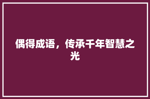偶得成语，传承千年智慧之光