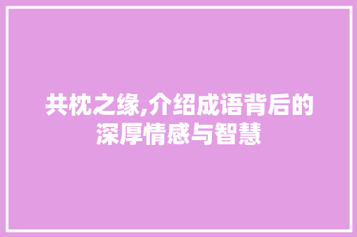 共枕之缘,介绍成语背后的深厚情感与智慧
