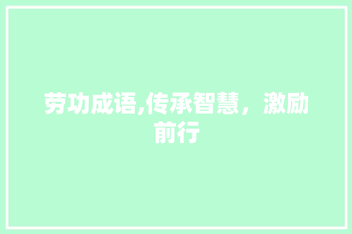 劳功成语,传承智慧，激励前行