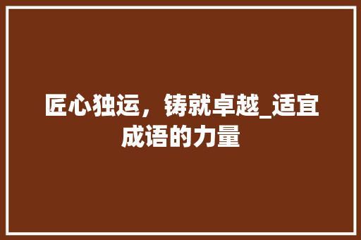 匠心独运，铸就卓越_适宜成语的力量 特写稿